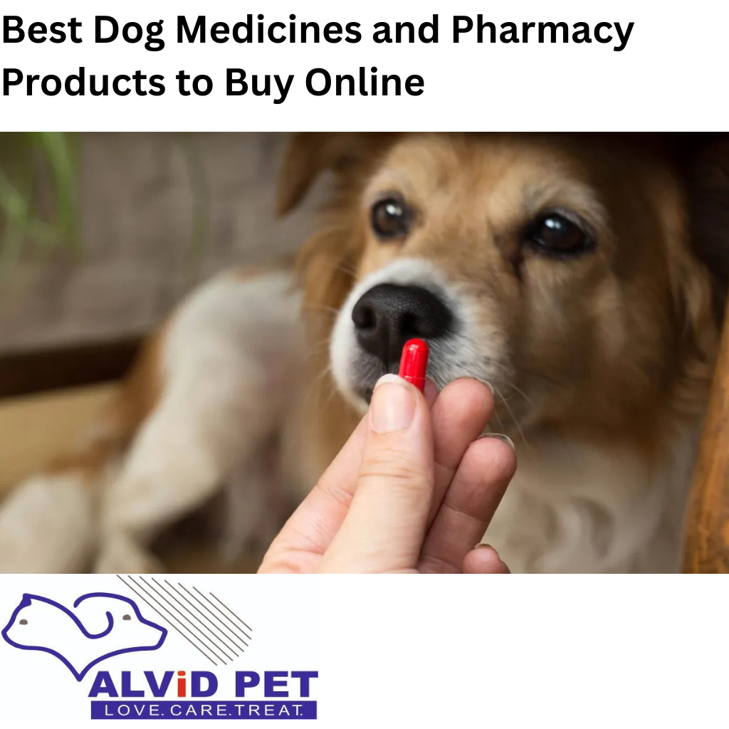 Best Dog Medicines and Pharmacy Products to Buy Online