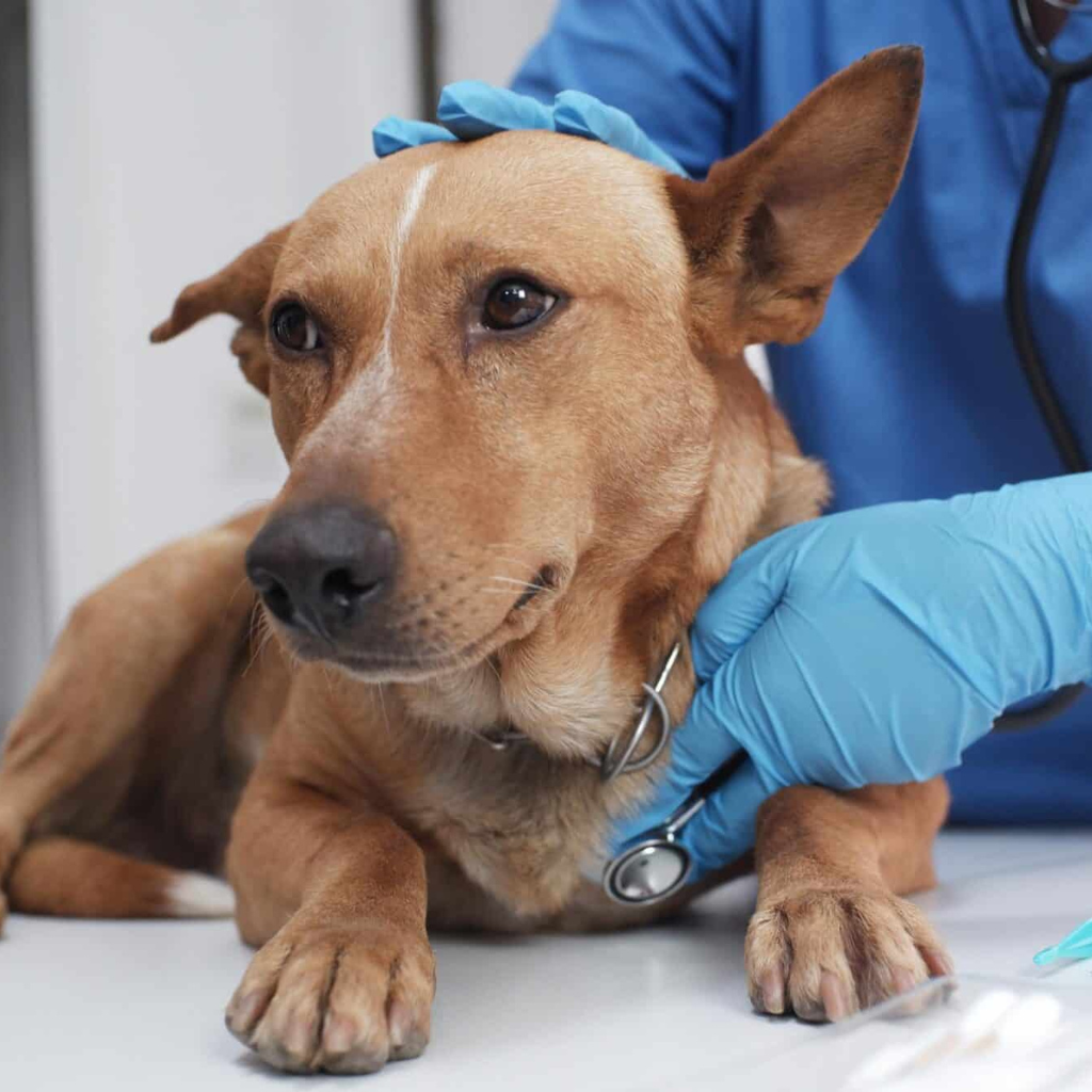 Untitled Design (15)