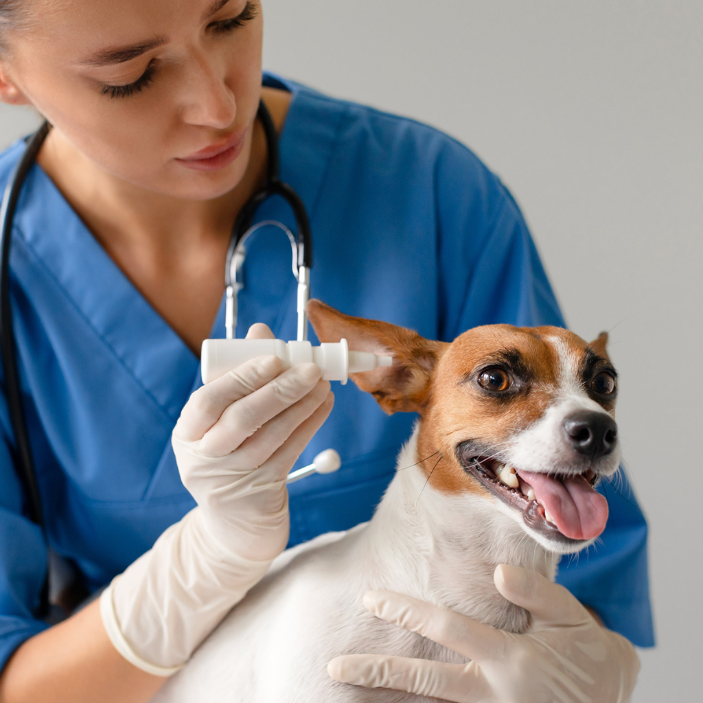 Untitled Design (16)