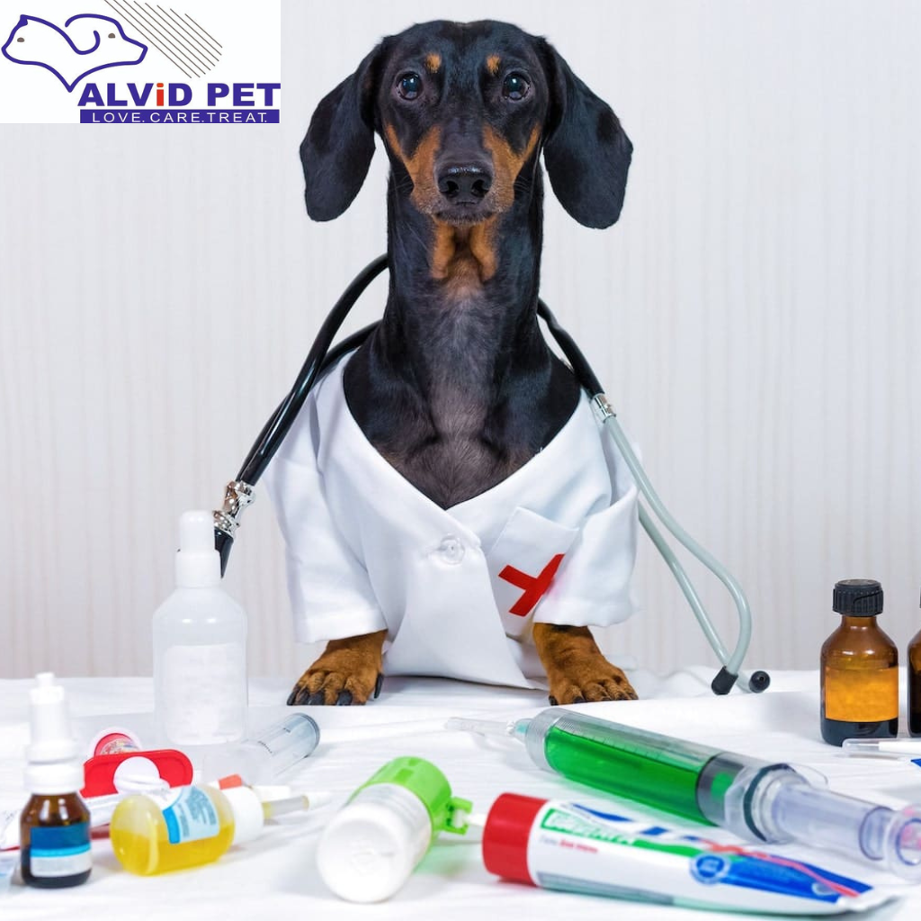 Tips for Purchasing Veterinary Medicine Online Safely (India Edition)