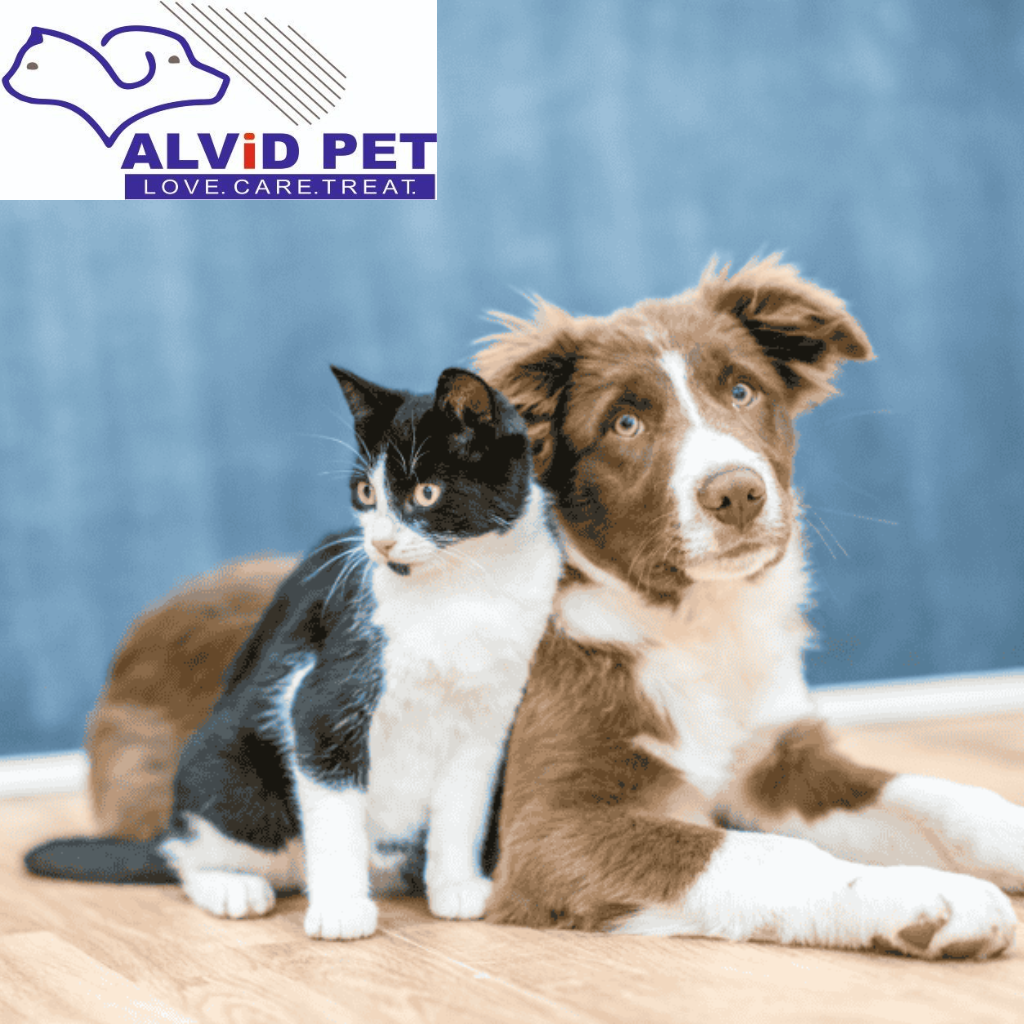 Discover the Best Pet Care Products at Alvid Pet