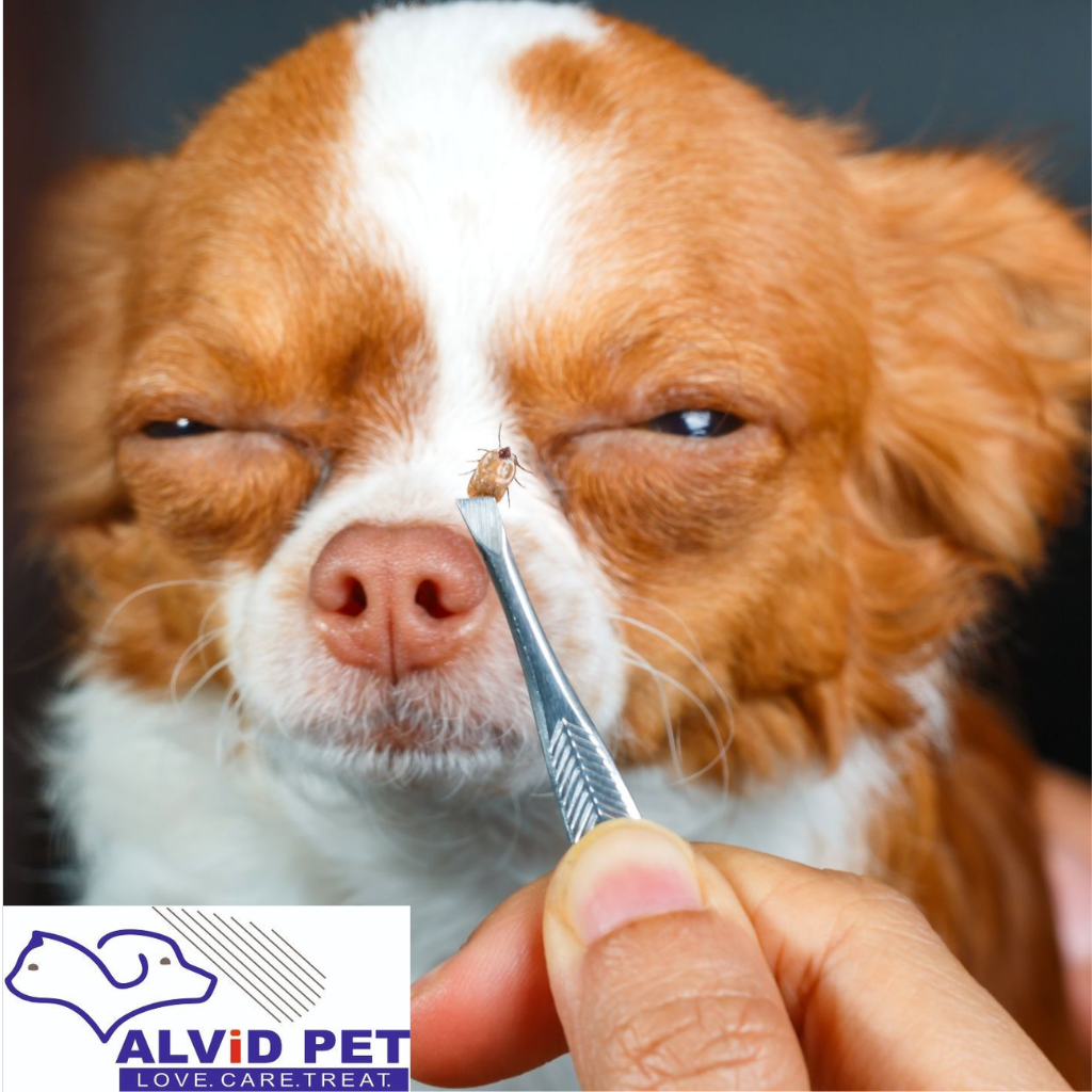 How to Get Rid of Ticks and Fleas in Dogs: A Complete Guide for Pet Parents