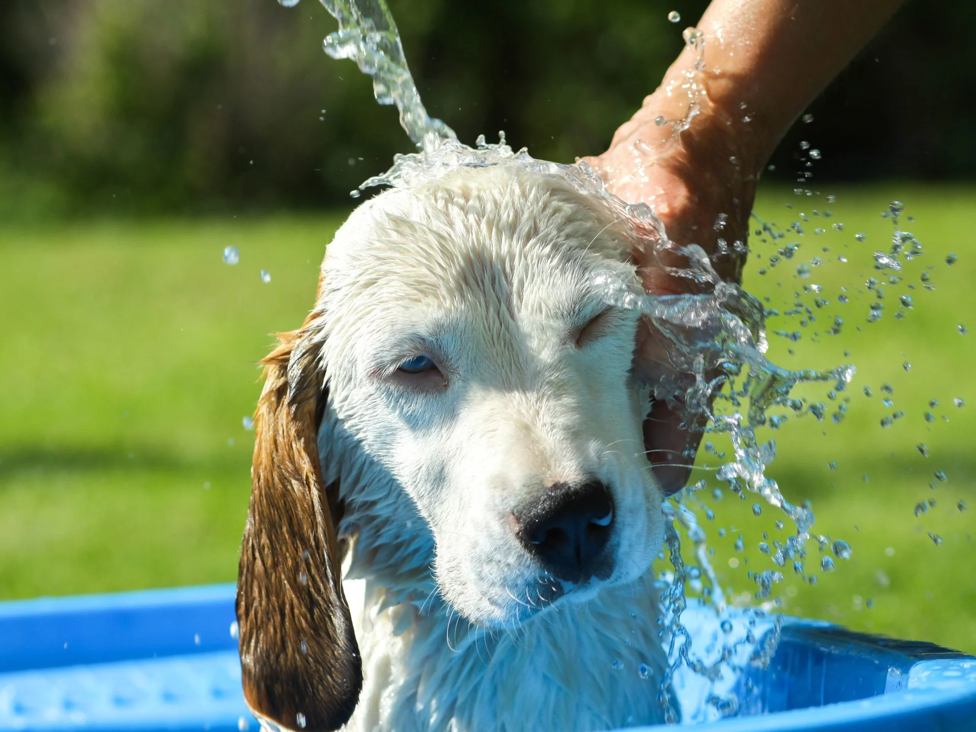 75ff6e7d2520 Istock 504443478.jpg