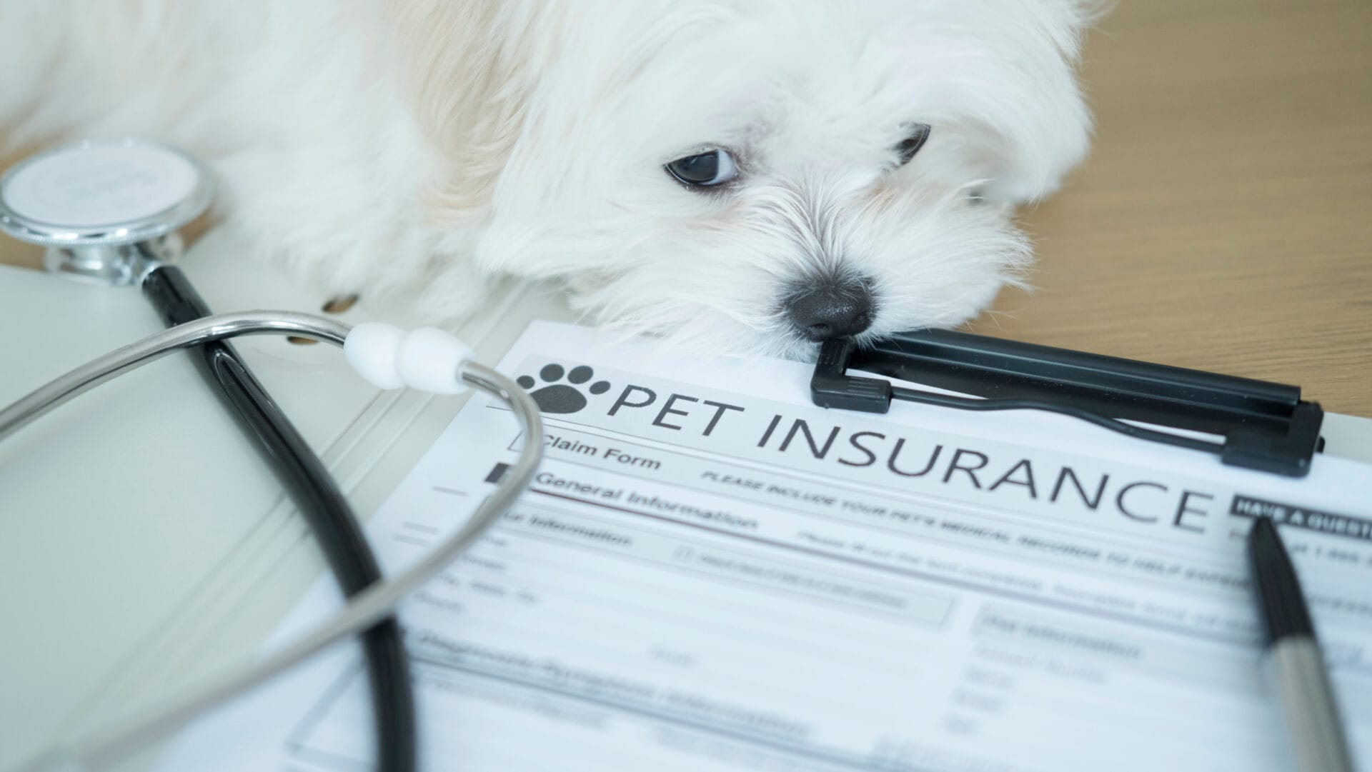 Benefits of Pet Insurance